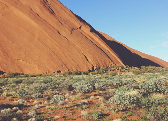 催收短信电话轰炸机